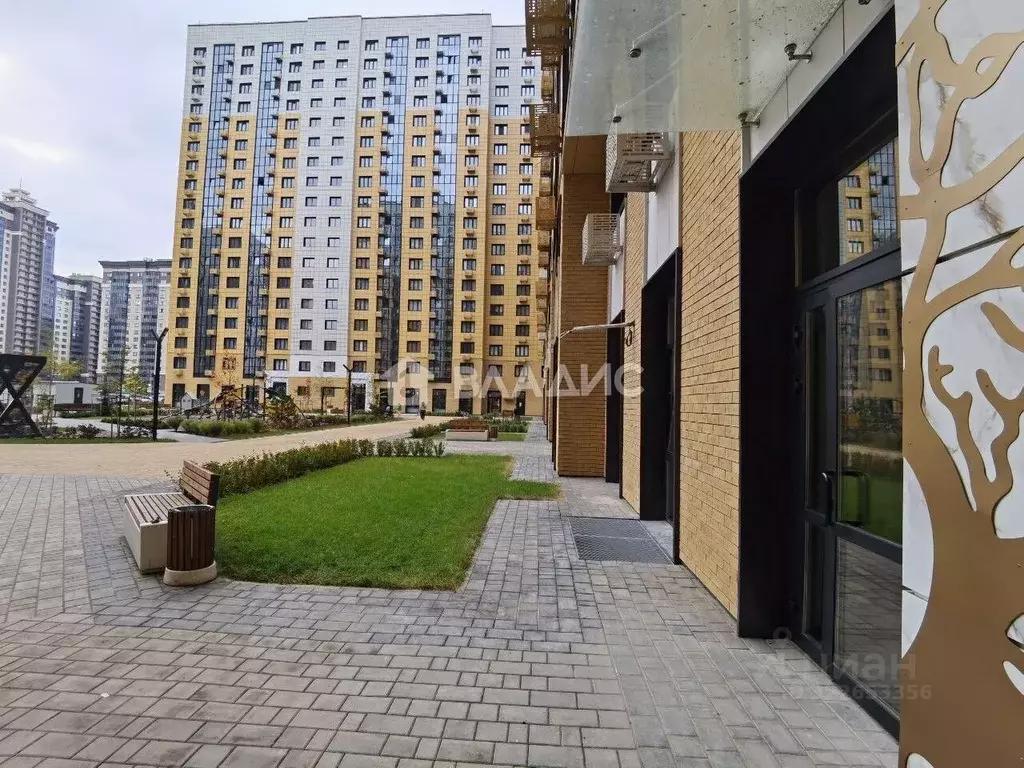 Помещение свободного назначения в Воронежская область, Воронеж ул. ... - Фото 1