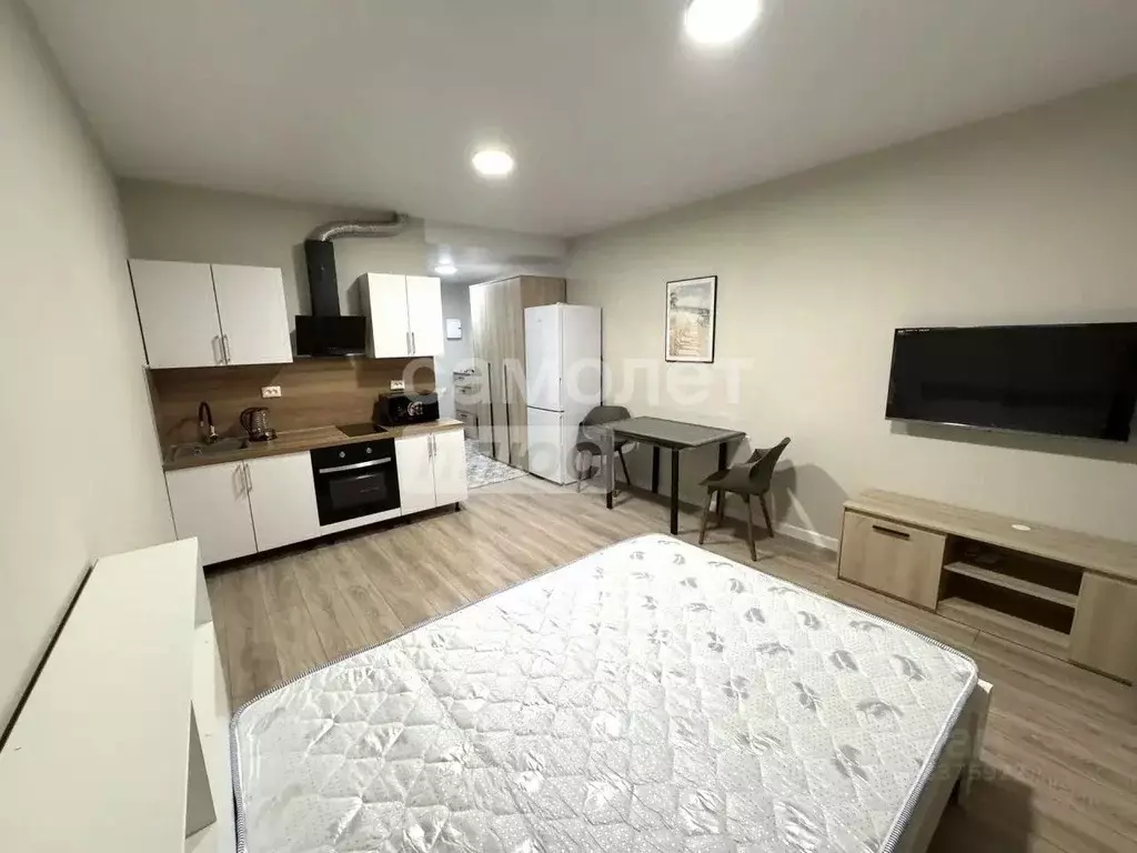 Студия Московская область, Химки городской округ, д. Рузино 4с1 (26.0 ... - Фото 2