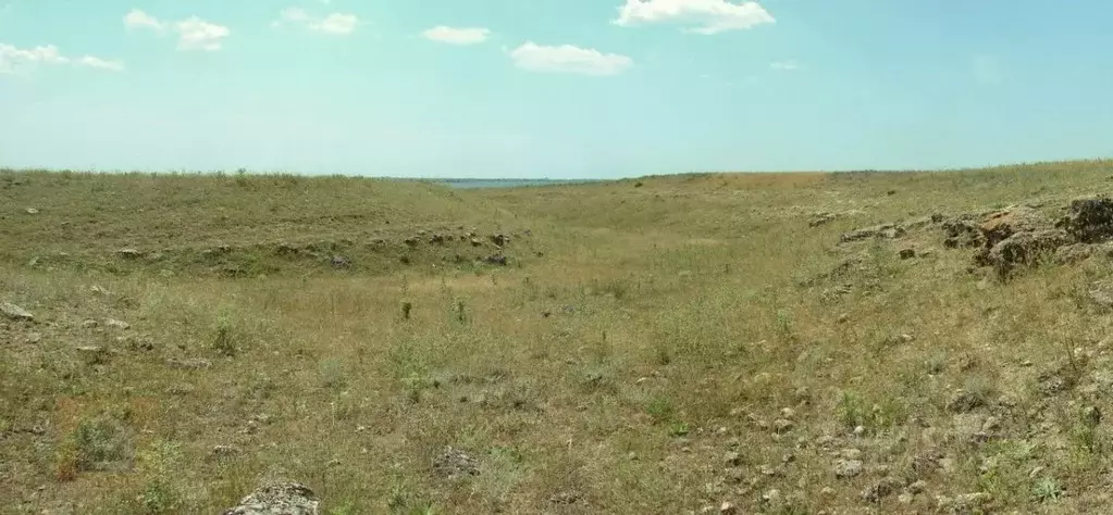 Участок в Крым, Черноморский район, с. Новоивановка  (1700.0 сот.) - Фото 0