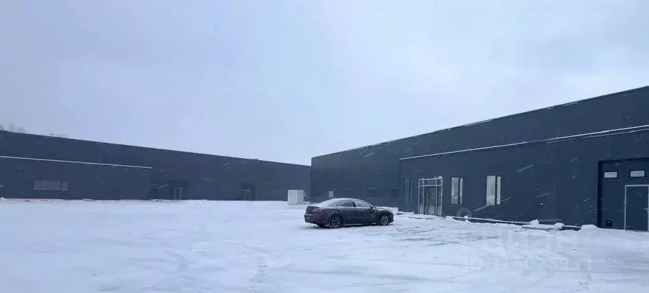 Помещение свободного назначения в Ленинградская область, Всеволожский ... - Фото 1