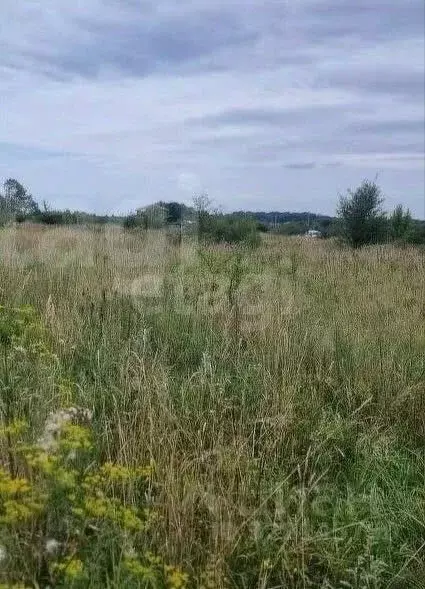 Участок в Калининградская область, Полесский муниципальный округ, пос. ... - Фото 2