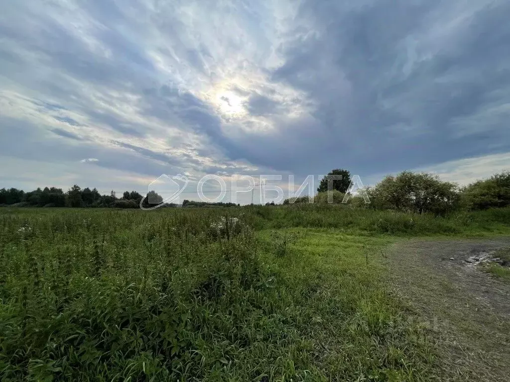 Участок в Тюменская область, Тюмень Лаванда садовое товарищество,  ... - Фото 1
