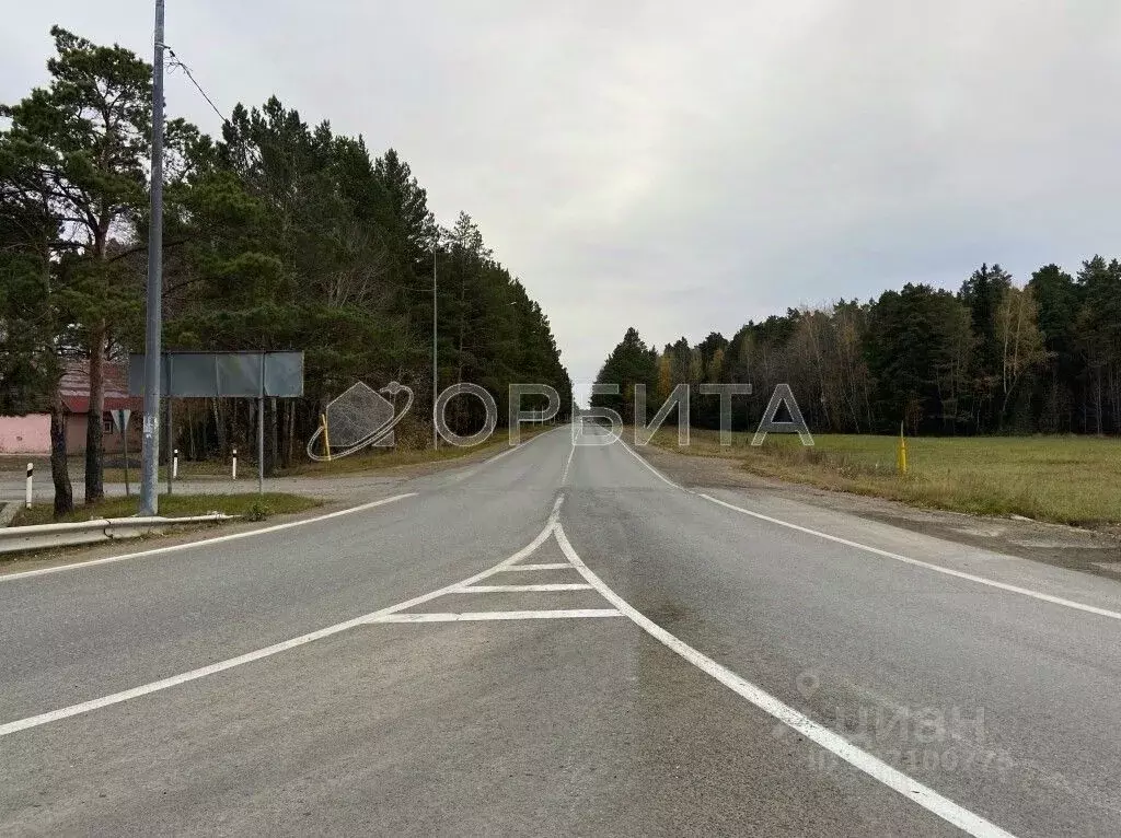 Участок в Тюменская область, Тюменский муниципальный округ, с. Успенка ... - Фото 1