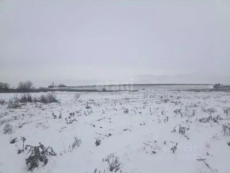 Участок в Воронежская область, Новоусманский район, Усманское 1-е ... - Фото 0