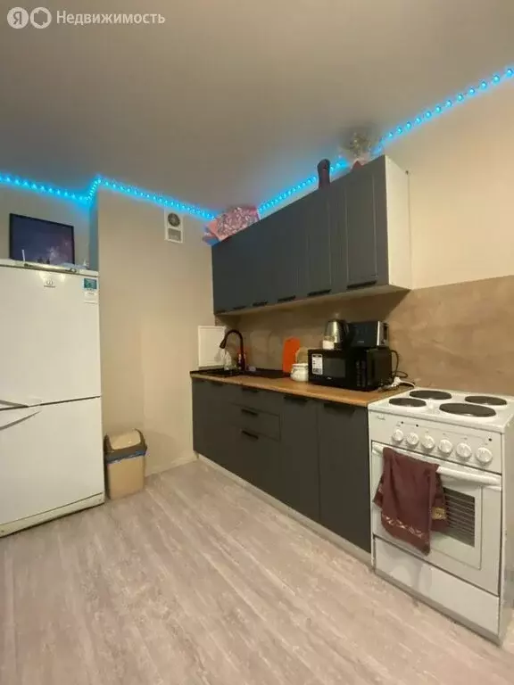 Квартира-студия: Ростов-на-Дону, переулок Андреева, 15 (26 м) - Фото 1