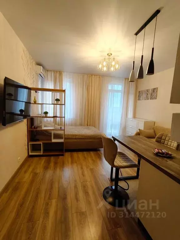 Студия Тульская область, Тула ул. Купцов Гречихиных, 10 (25.0 м) - Фото 0