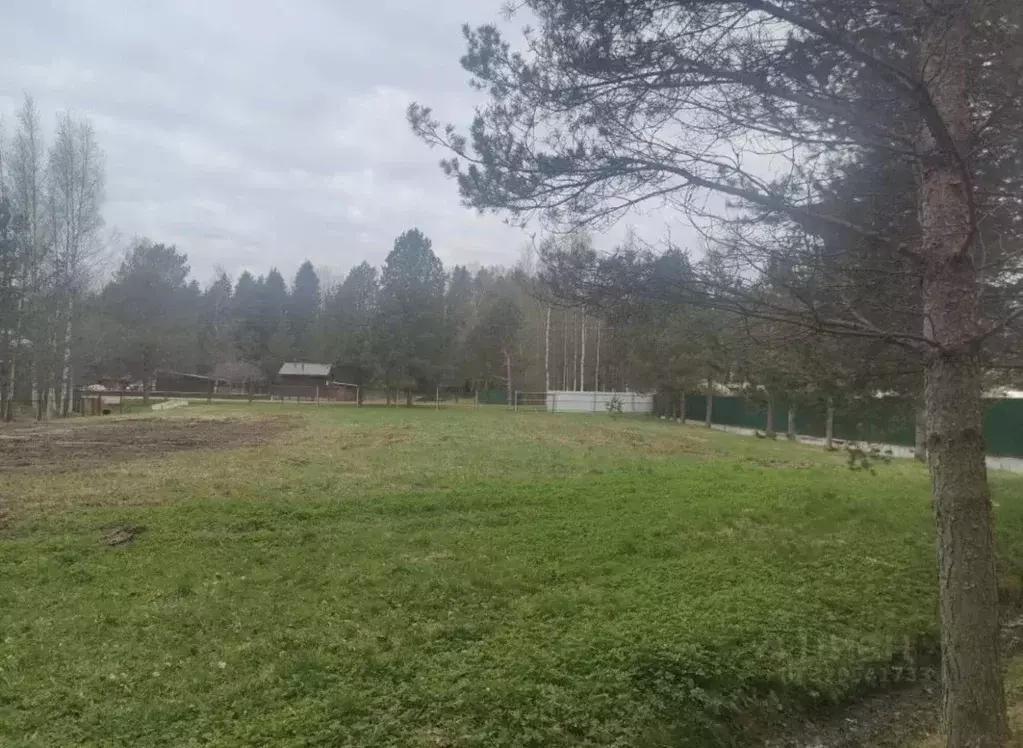 Участок в Новгородская область, Новгородский муниципальный район, ... - Фото 2