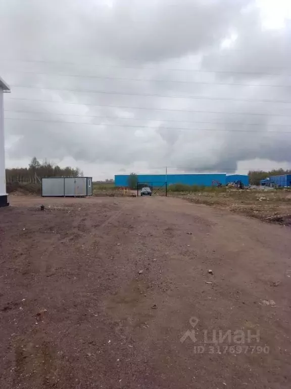 Склад в Ленинградская область, Ломоносовский район, д. Низино ул. ... - Фото 1