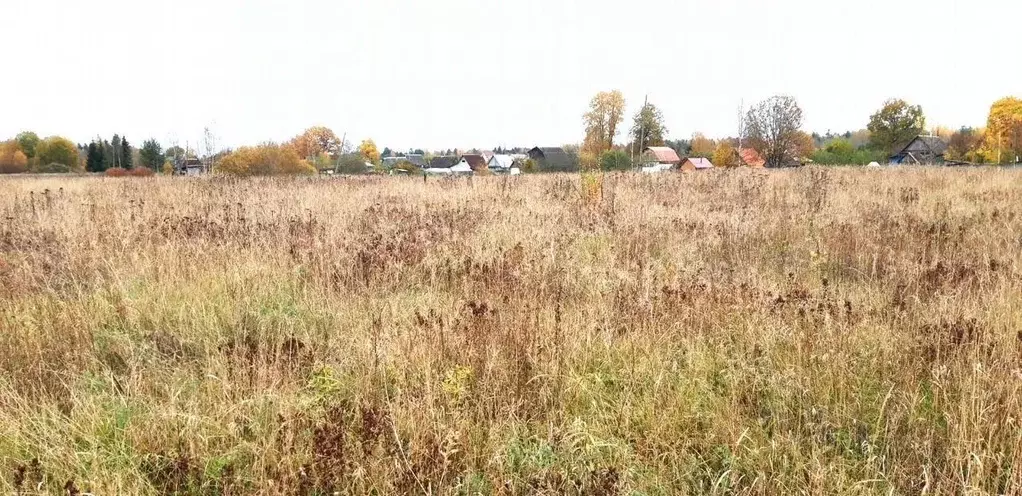 Участок в Ленинградская область, Лужский район, Ям-Тесовское с/пос, д. ... - Фото 0