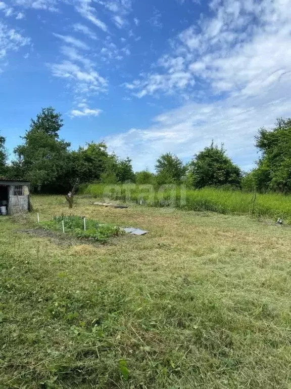 Участок в Калининградская область, Светловский городской округ, пос. ... - Фото 0