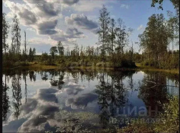 Участок в Ленинградская область, Всеволожский район, Агалатовское ... - Фото 2