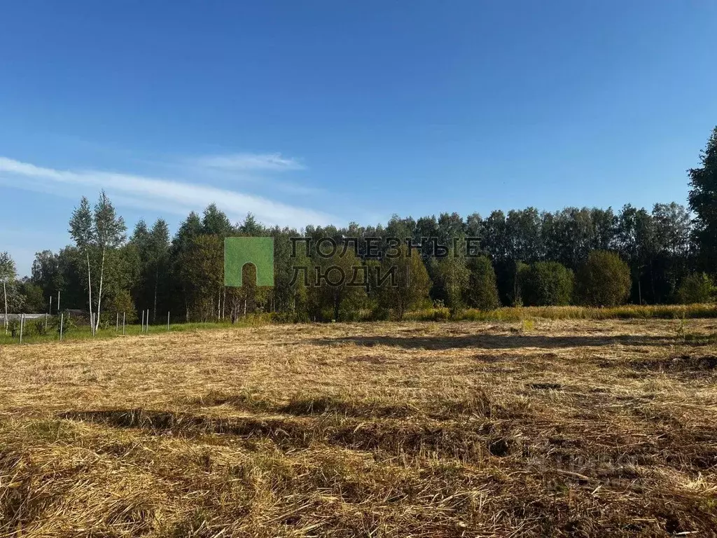 Участок в Тульская область, Тула городской округ, с. Зайцево ул. ... - Фото 0