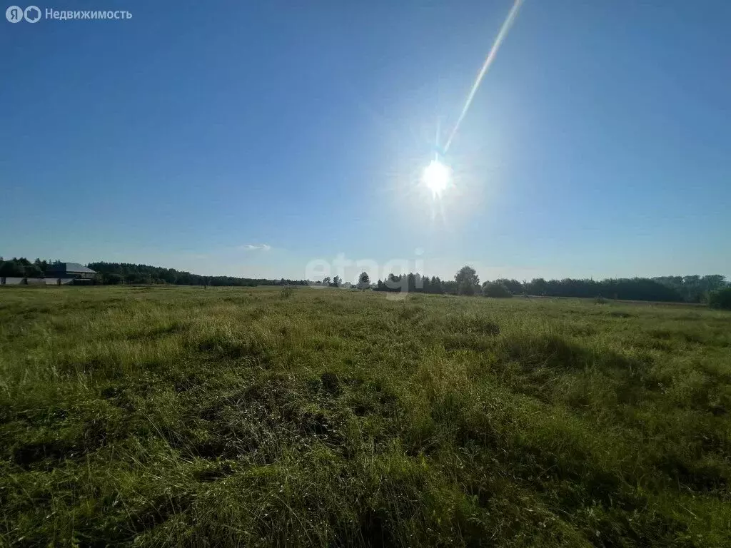 Участок в Бийский район, посёлок Семеновод, Тихая улица (12.3 м) - Фото 1