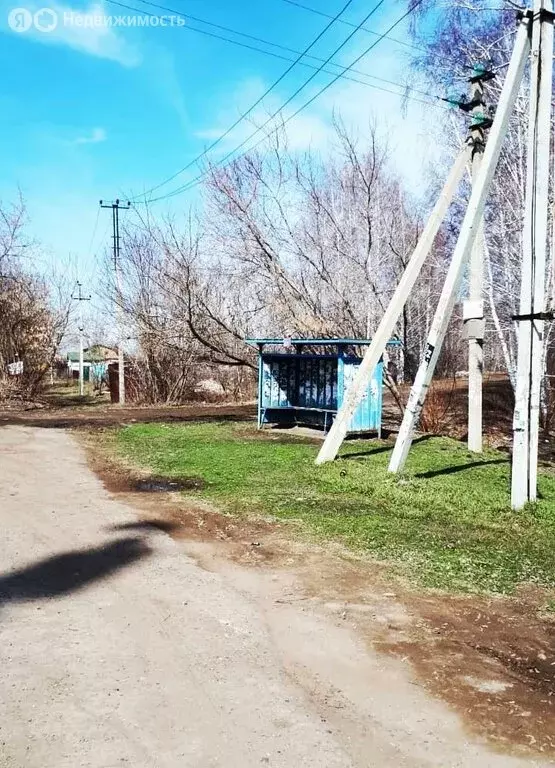 Участок в Омск, территория СОСН Спектр (5 м) - Фото 1