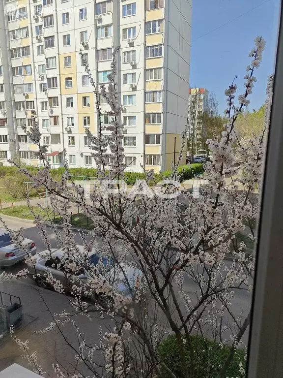 3-комнатная квартира: Воронеж, Минская улица, 49 (67.3 м) - Фото 1