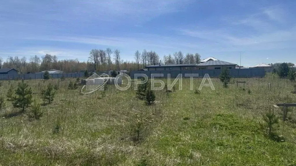 Участок в Тюменская область, Тюменский район, Новокаменский кп ул. ... - Фото 1