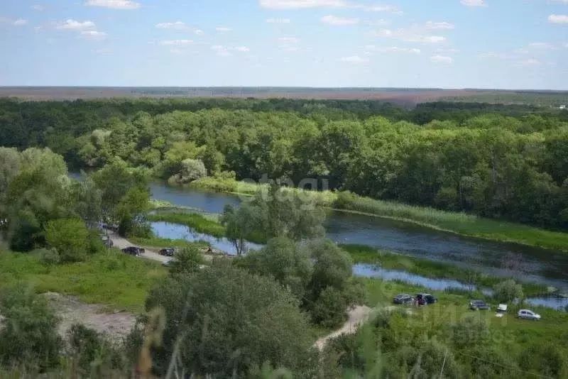 Участок в Липецкая область, Хлевенский район, Малининский сельсовет, ... - Фото 1