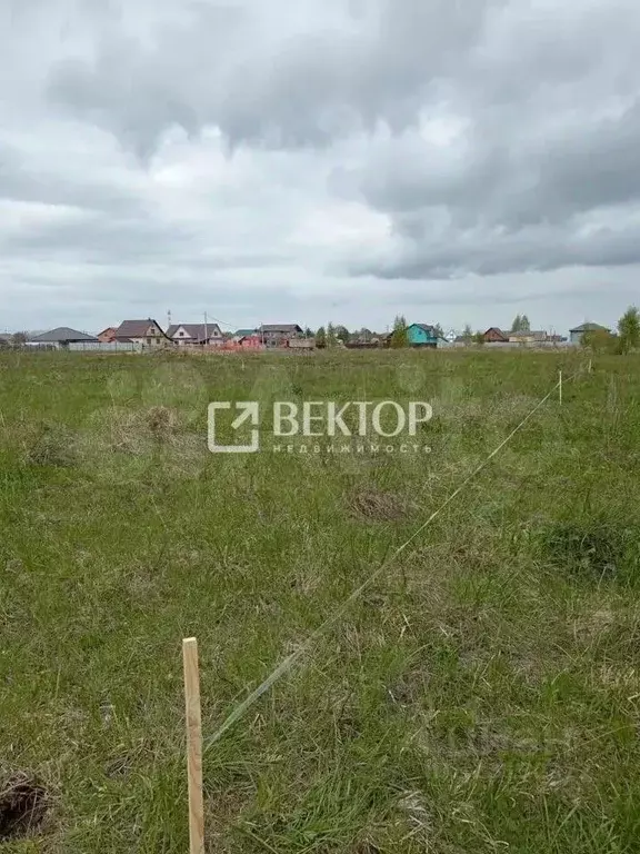 Участок в Костромская область, Нерехта ул. Егорьевская (9.3 сот.) - Фото 2