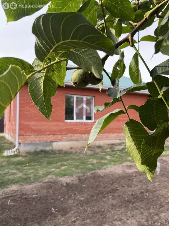 Дом в муниципальное образование Саратов, деревня Долгий Буерак, ... - Фото 0