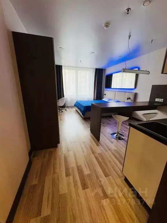 Студия Санкт-Петербург ул. Хошимина, 16А (30.0 м) - Фото 1