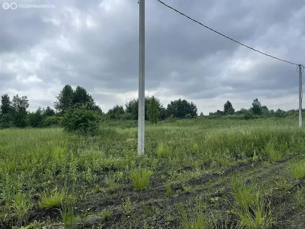 Участок в Тюмень, садовое общество Дубок (8 м) - Фото 1