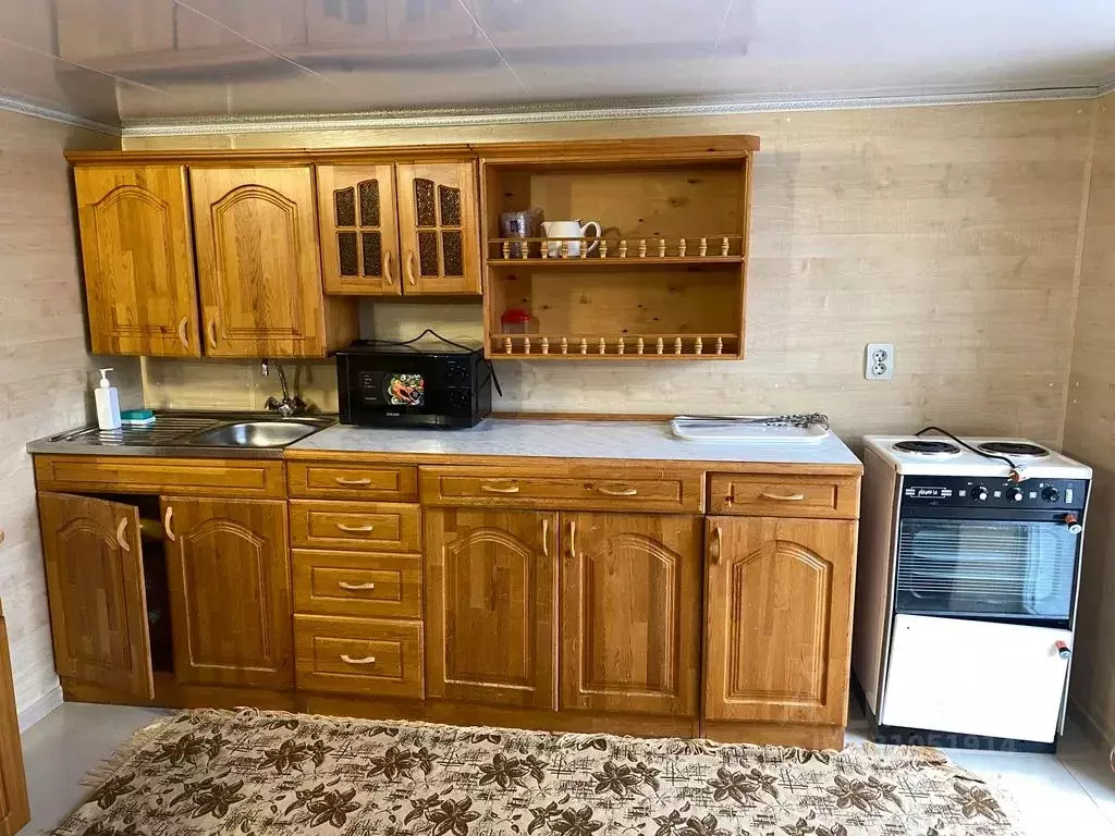 Дом в Алтайский край, Яровое ул. Верещагина, 73 (30 м) - Фото 1