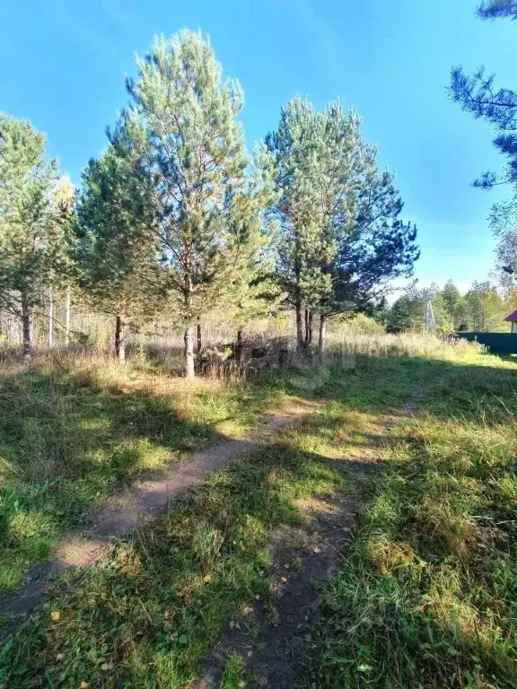 Участок в Кировская область, Кирово-Чепецкий район, Федяковское с/пос, ... - Фото 1