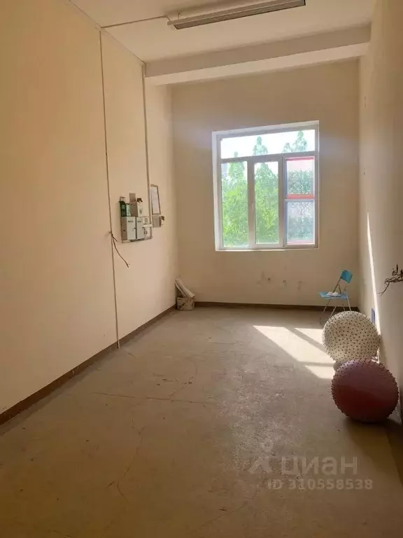 Помещение свободного назначения в Краснодарский край, Новороссийск ... - Фото 1