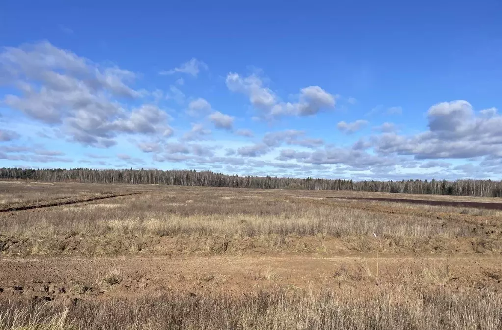 Участок в Калужская область, Совхоз Боровский с/пос, д. Сороковеть  ... - Фото 2