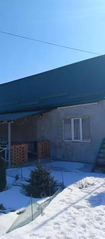 Дом в Воронежская область, Хохольский район, Гремяченское с/пос, с. ... - Фото 2