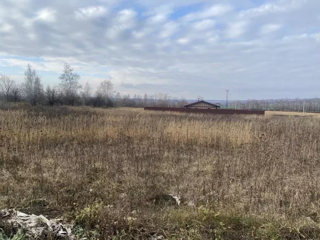 Участок в Московская область, Серебряные Пруды муниципальный округ, с. ... - Фото 2