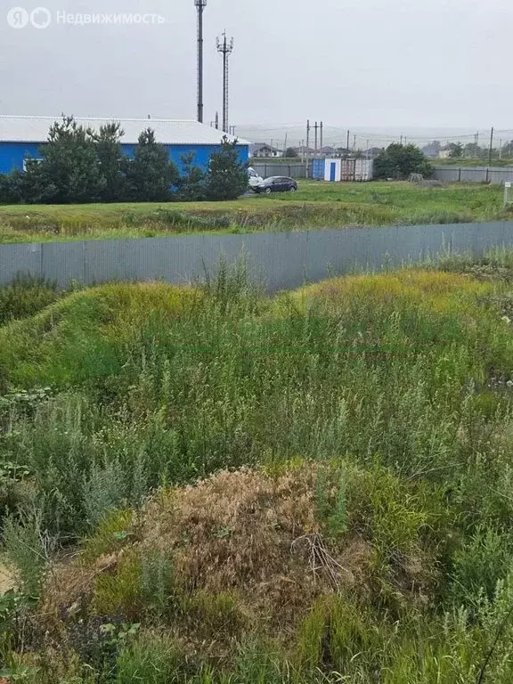 Участок в Саратов, СНТ Берёзка (41 м) - Фото 0