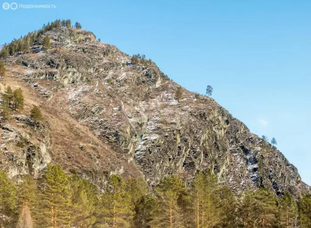 Участок в село Узнезя, Центральная улица (10.69 м) - Фото 1