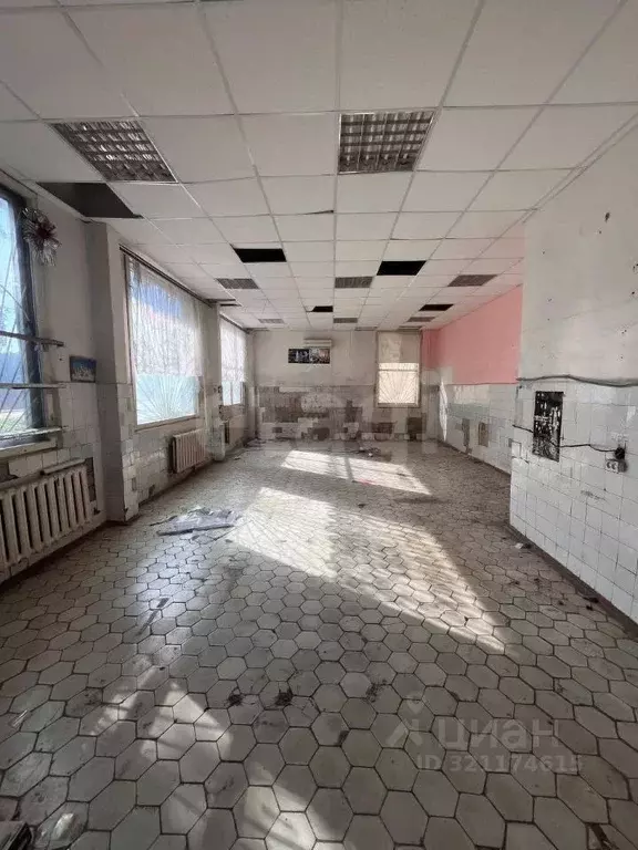 Торговая площадь в Калужская область, Калуга Куровской мкр, ул. ... - Фото 2