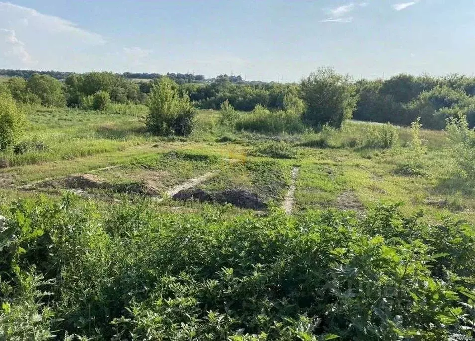 Участок в Белгородская область, Белгородский район, с. Стрелецкое ... - Фото 2
