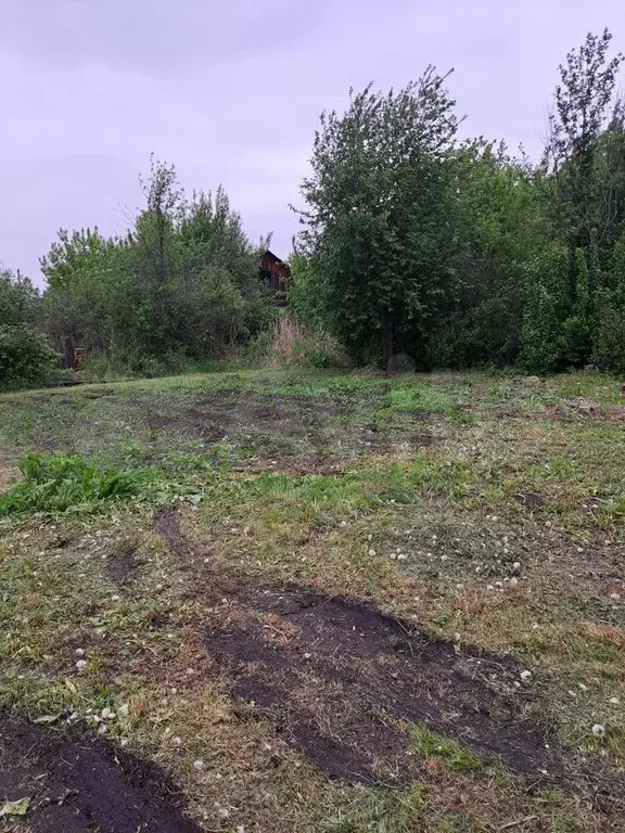 Участок 5 сот. (СНТ, ДНП) - Фото 0