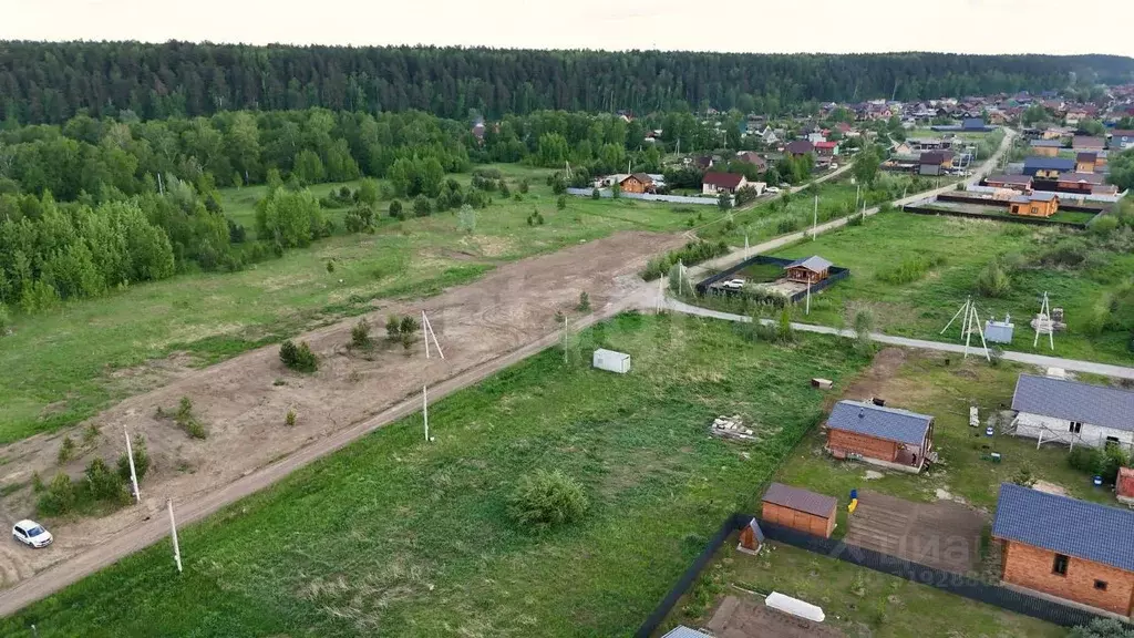 Участок в Новосибирская область, Новосибирский район, Кубовинский ... - Фото 1