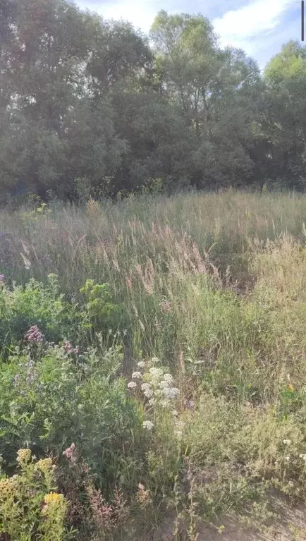 Участок в Татарстан, Казань пер. Хозур (5.2 сот.) - Фото 2