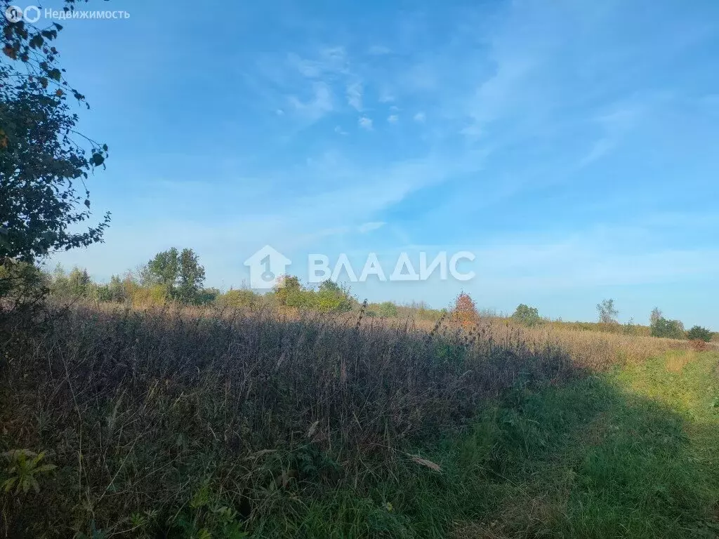 Участок в Кольчугинский район, муниципальное образование ... - Фото 1