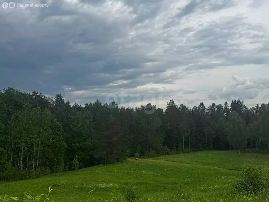 Участок в деревня Сиголово, Петровская улица (11 м) - Фото 2