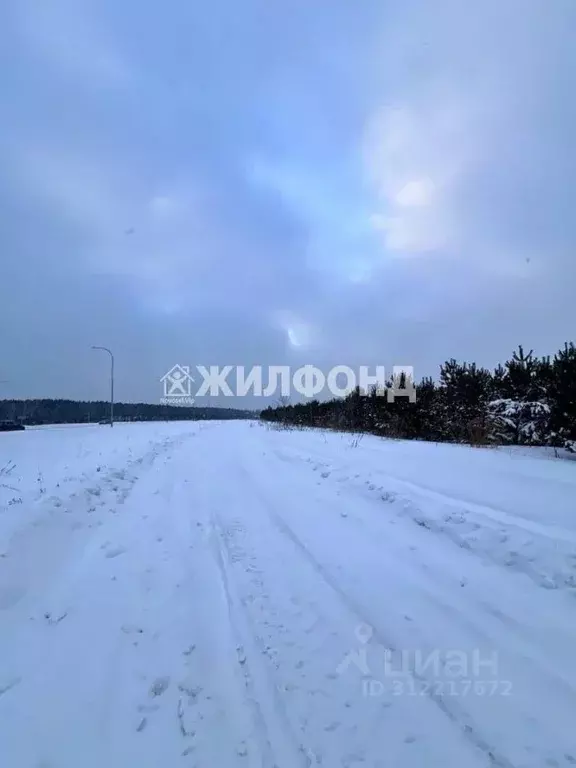 Участок в Кемеровская область, Кемерово Учитель СНТ, аллея 1-я (9.6 ... - Фото 1