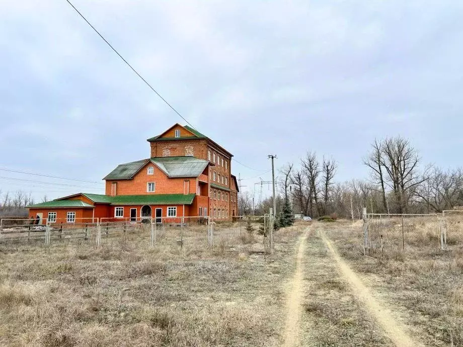 Дом в Саратовская область, с. Боковка ул. Лесная (1300 м) - Фото 0