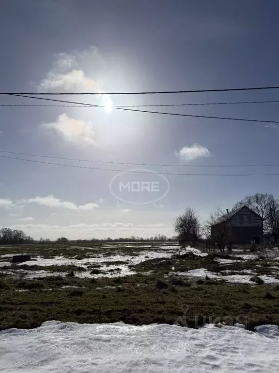 Участок в Калининградская область, Гурьевский муниципальный округ, ... - Фото 1