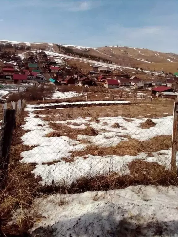 Участок в Алтай, Майминский район, пос. Алферово ул. Выходцева (9.8 ... - Фото 0