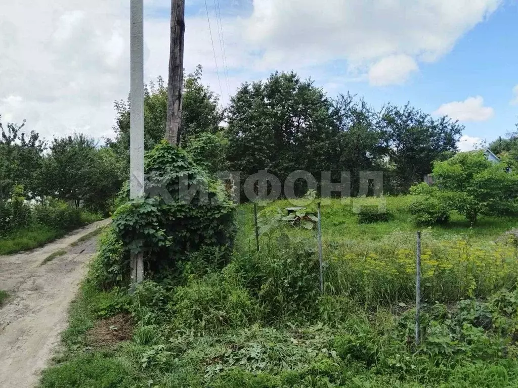 Участок в Брянская область, Брянск  (11.0 сот.) - Фото 1