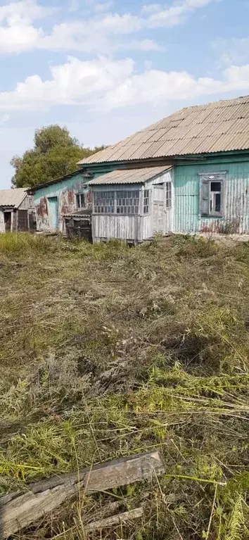 Дом в Саратовская область, Балашовский район, Пинеровка рп ул. ... - Фото 1