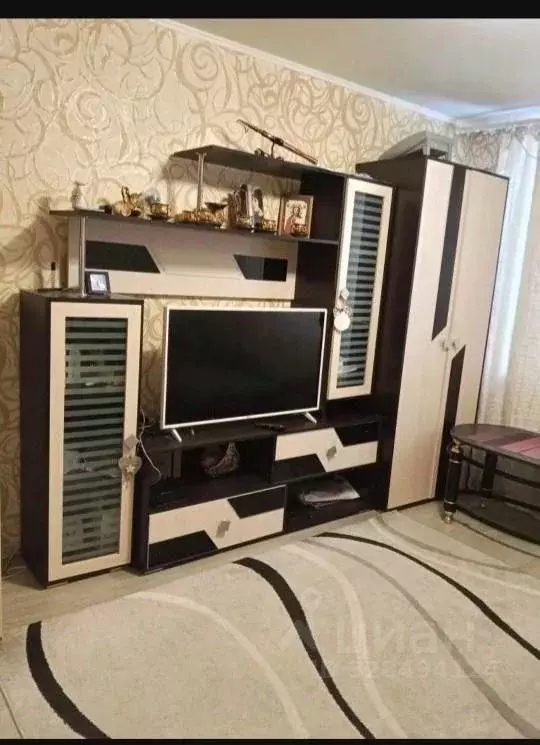 Студия Самарская область, Тольятти ул. Чапаева, 149 (18.0 м) - Фото 2