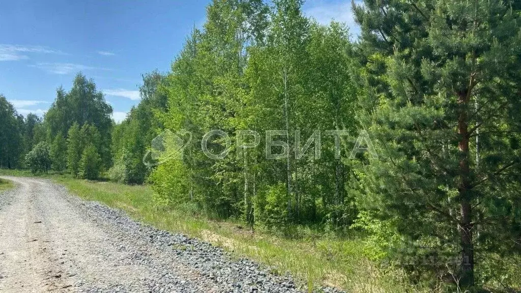 Участок в Тюменская область, Тюменский район, Новокаменский кп ул. ... - Фото 0
