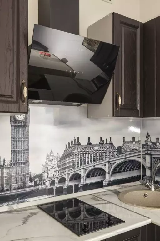 Студия Ленинградская область, Кудрово г. Всеволожский район, Заневское ... - Фото 2