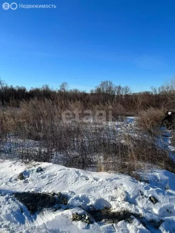 Участок в Амурская область, Благовещенский муниципальный округ, село ... - Фото 1